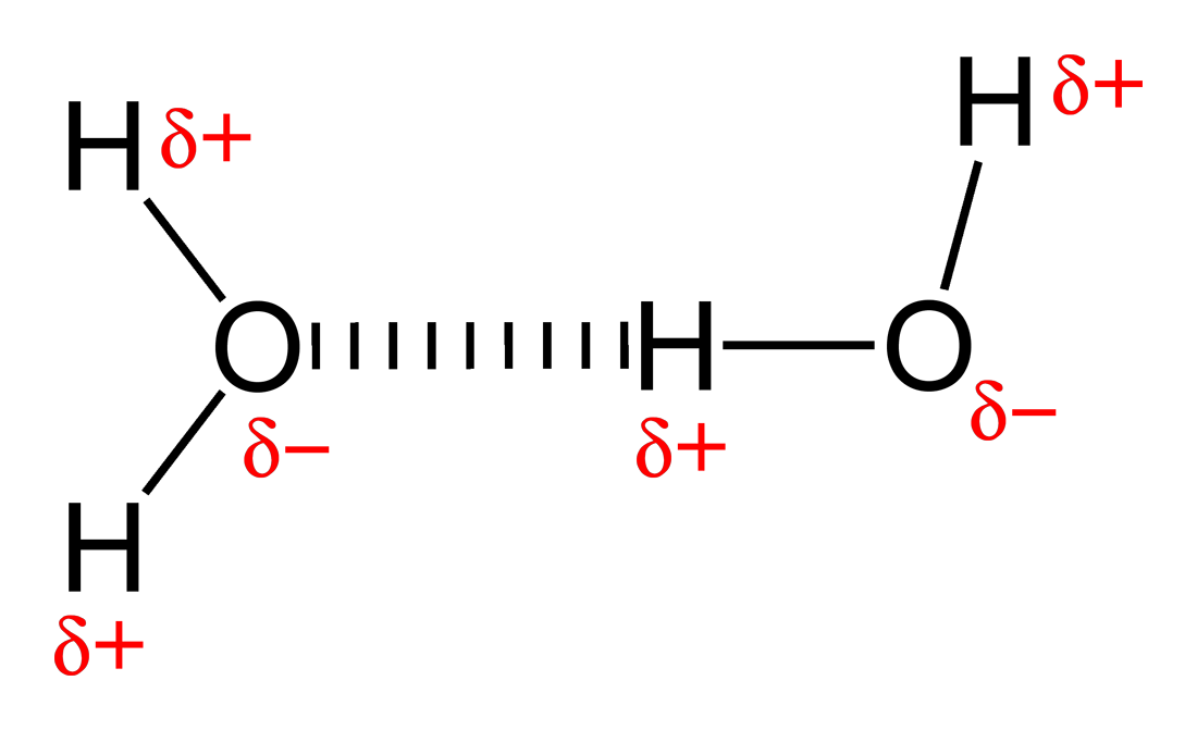 H Bond Dipole