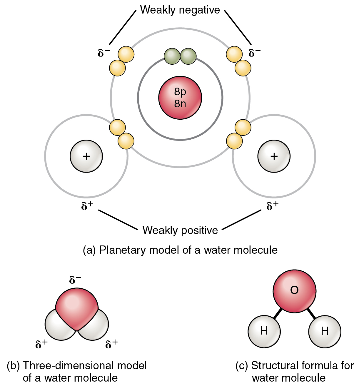 Polar-Covalent Bonds